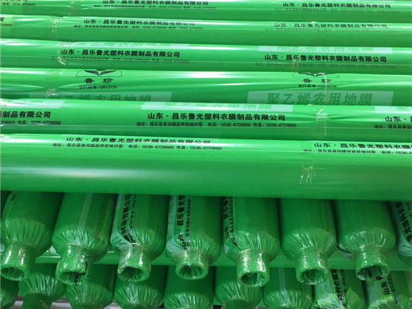【大姜專用膜】——大姜保鮮冷存常識(shí)